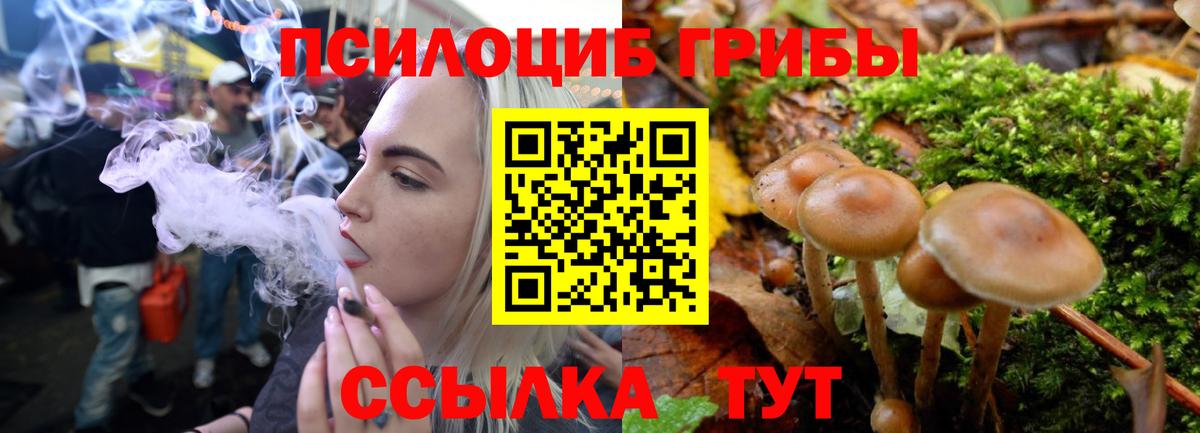 Галлюциногенные грибы ЛСД Добрянка
